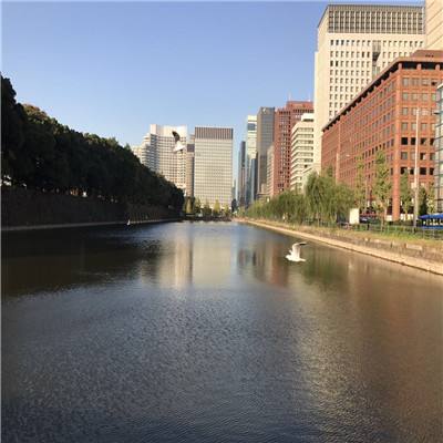 联大宣布奴隶制为最严重反人类罪
